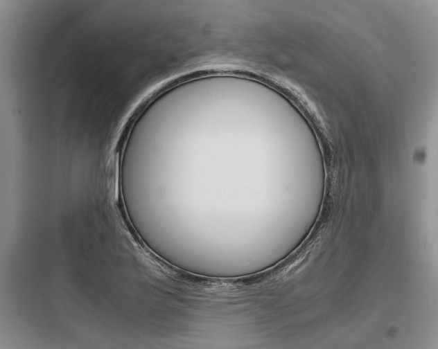 X0000097961175200803241034