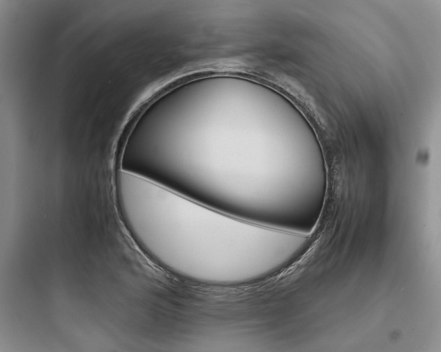 X0000097961176200803241034