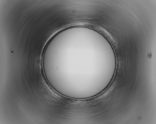 X0000097961178200803241034