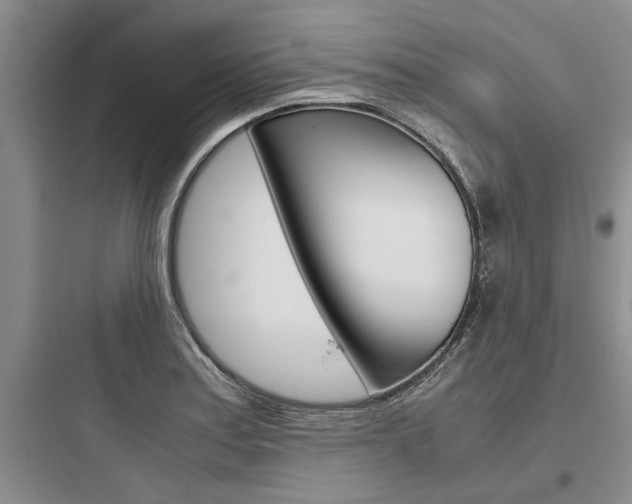 X0000097961179200803241034