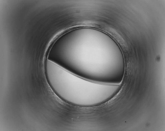 X0000097961180200803241034