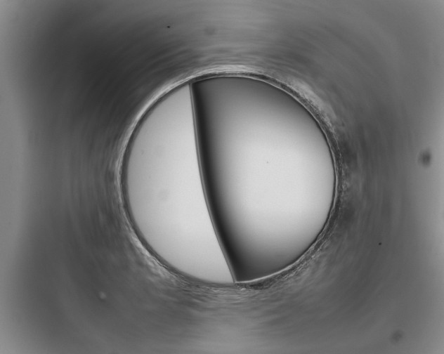 X0000097961181200803241034