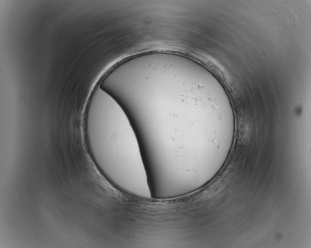 X0000097961182200803241034