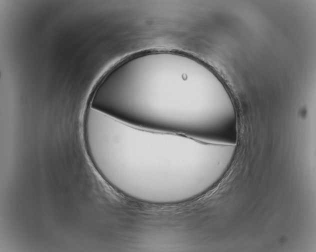 X0000097961183200803241034