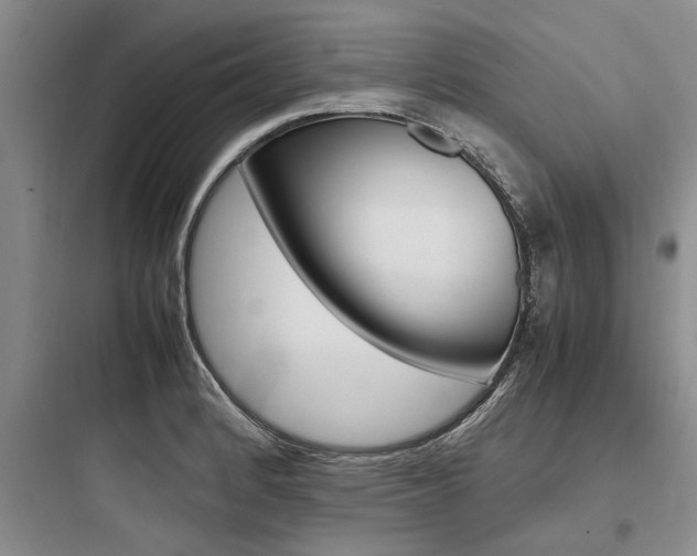 X0000097961184200803241034