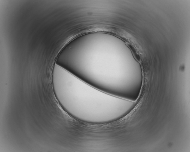X0000097961185200803241034