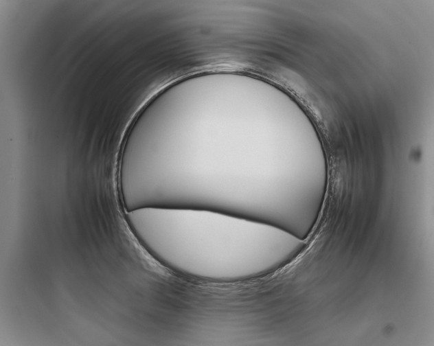 X0000097961186200803241034