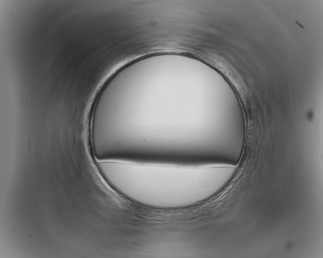 X0000097961187200803241034