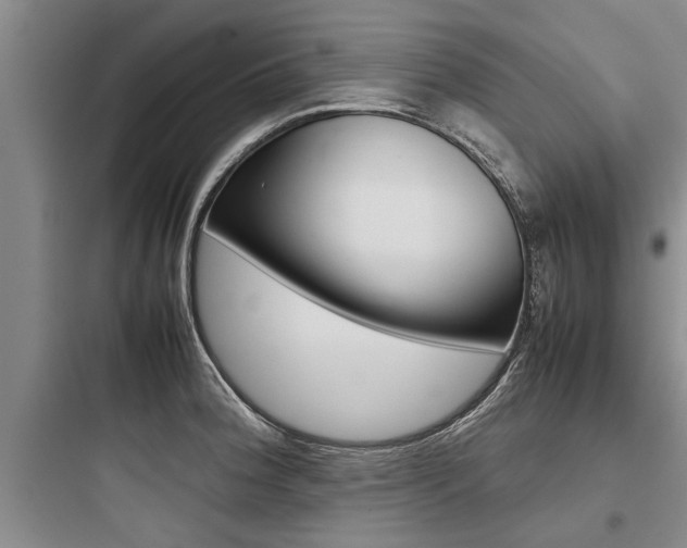 X0000097961188200803241034
