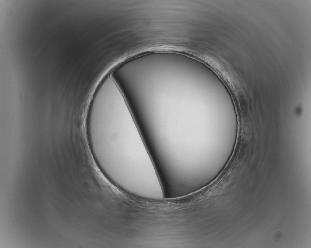 X0000097961189200803241034