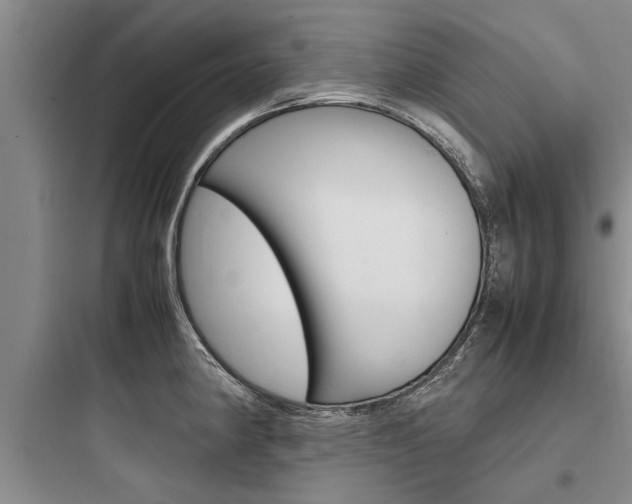 X0000097961190200803241034