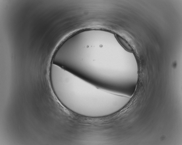 X0000097961191200803241034