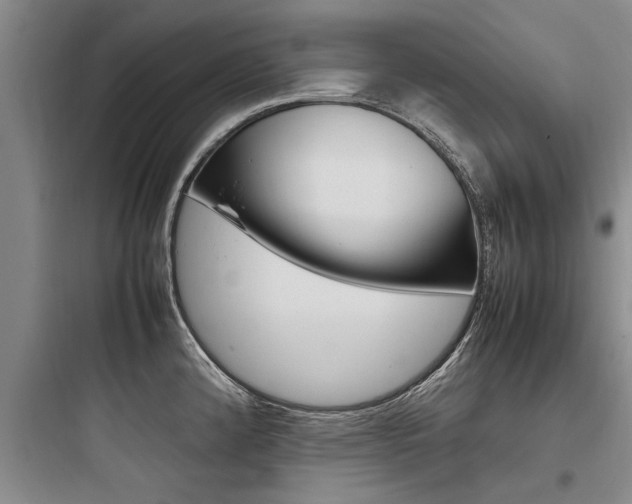 X0000097961192200803241034