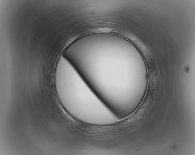 X0000097961193200803241034