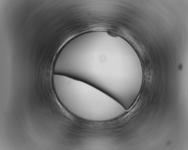 X0000097961194200803241034