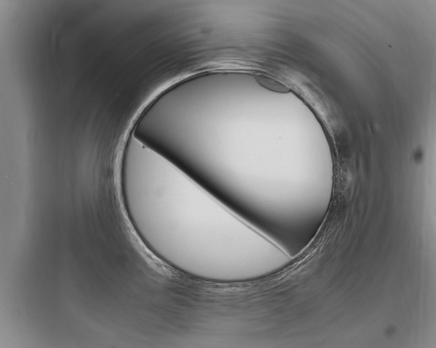 X0000097961195200803241034
