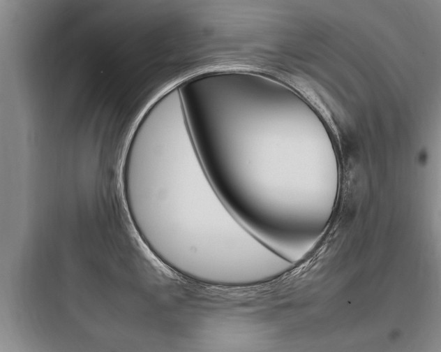 X0000097961197200803241034