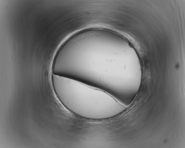 X0000097961199200803241034