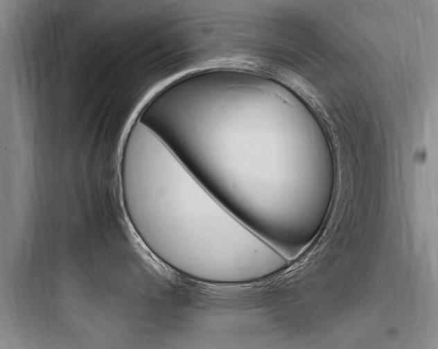 X0000097961200200803241034