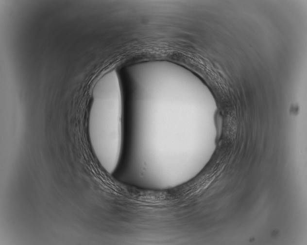 X0000097961201200803241033