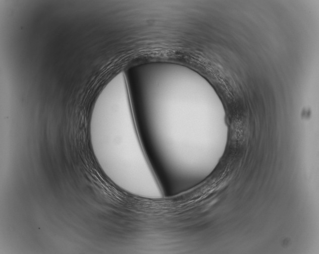X0000097961202200803241033