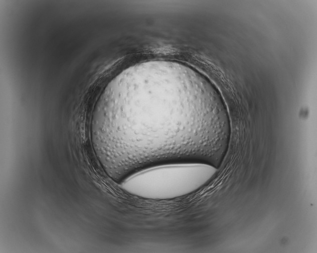 X0000097961205200803241033