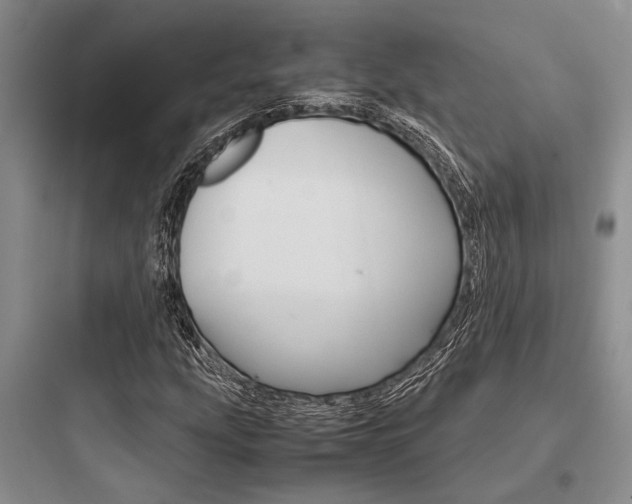 X0000097961207200803241033