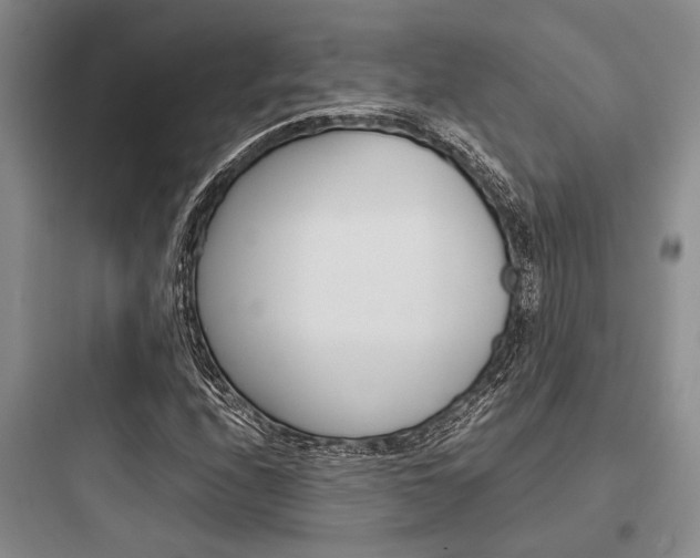 X0000097961208200803241033