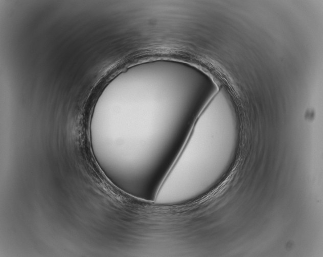 X0000097961210200803241033