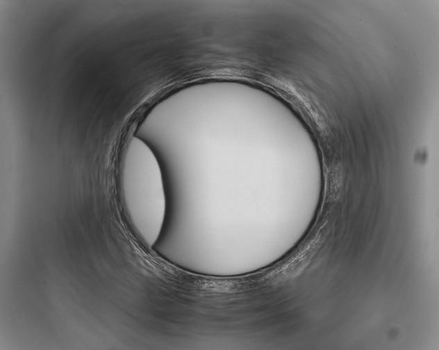 X0000097961211200803241033