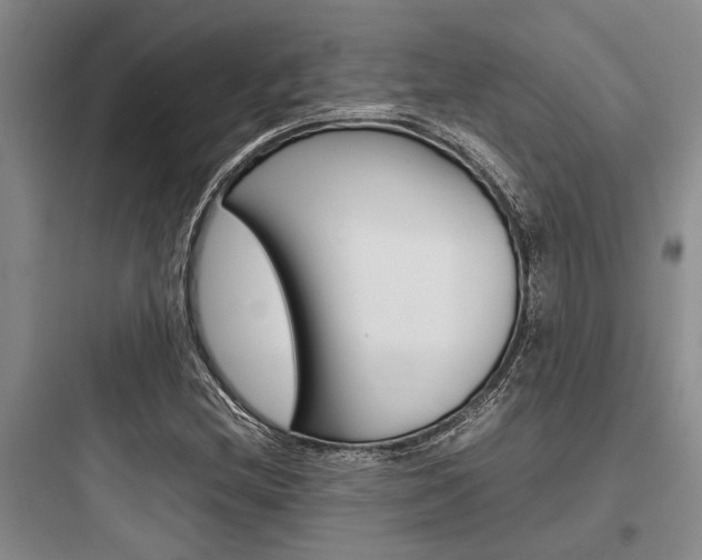 X0000097961212200803241033