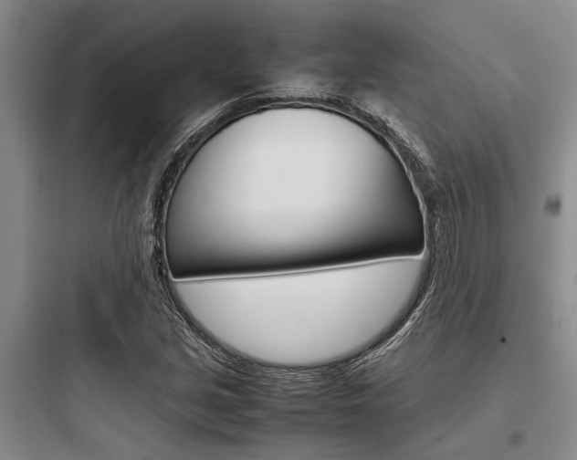 X0000097961213200803241033