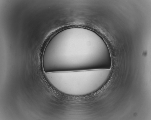 X0000097961214200803241034