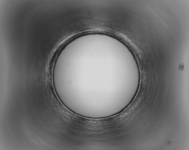X0000097961215200803241034