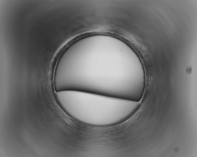 X0000097961216200803241034