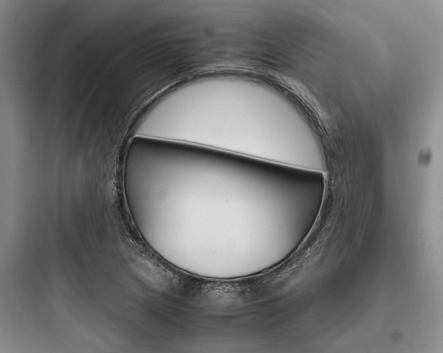 X0000097961217200803241034