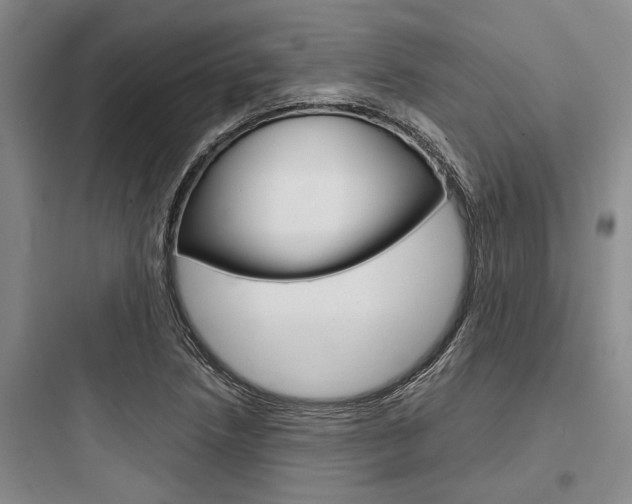 X0000097961218200803241034