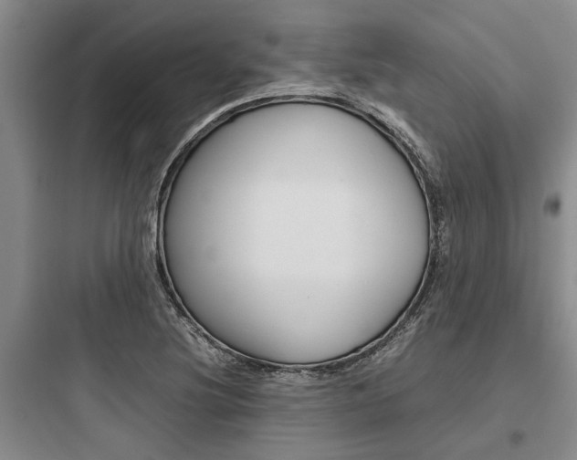 X0000097961220200803241034