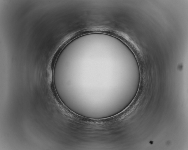 X0000097961221200803241034