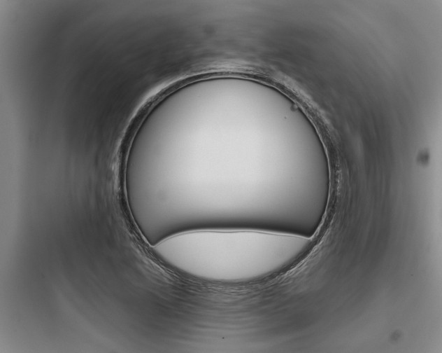 X0000097961222200803241034
