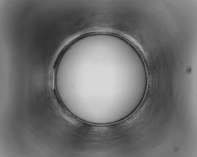 X0000097961223200803241034