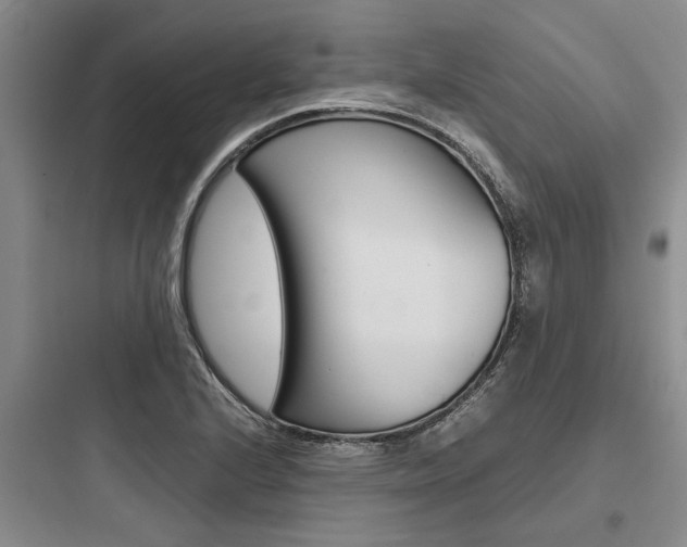 X0000097961224200803241034