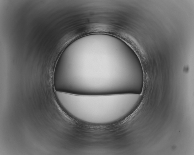 X0000097961225200803241034