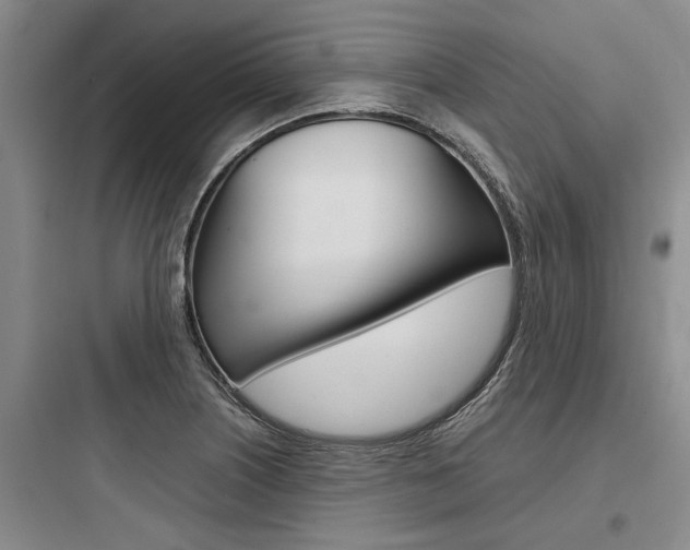 X0000097961226200803241034