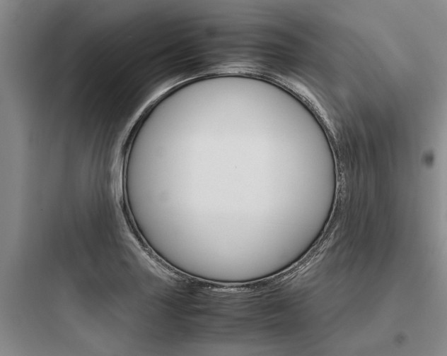 X0000097961227200803241034