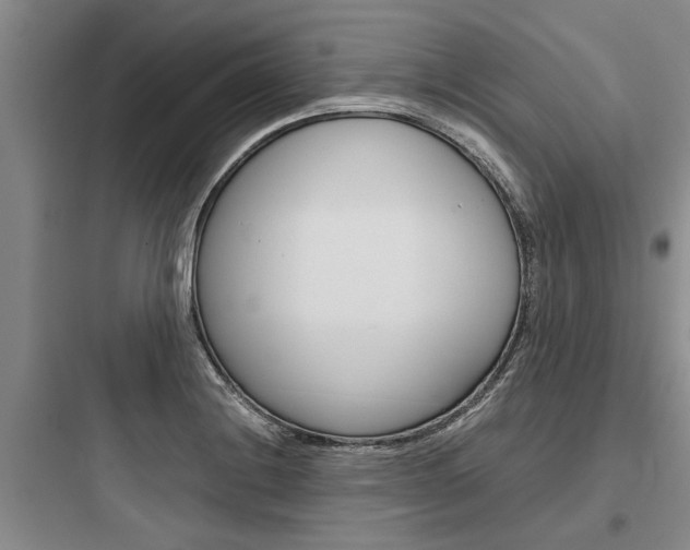 X0000097961228200803241034