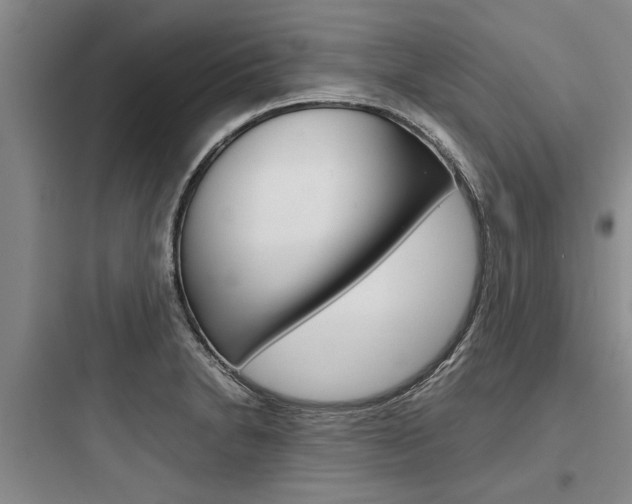 X0000097961230200803241034