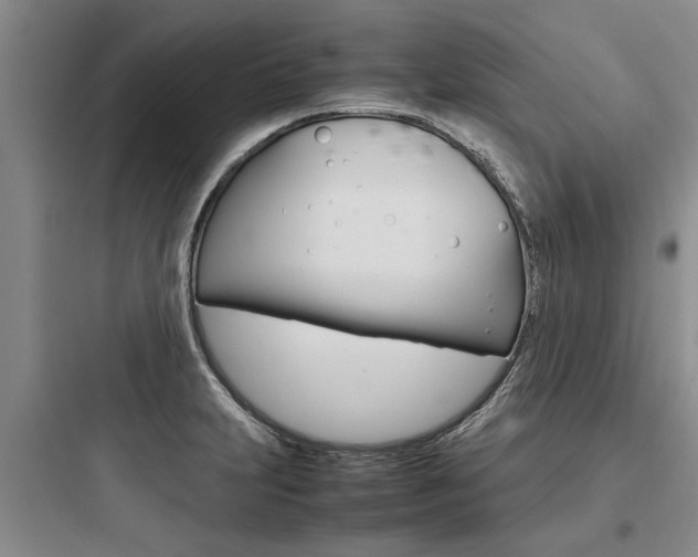 X0000097961231200803241034