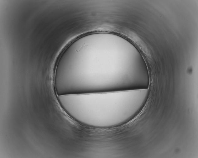 X0000097961232200803241034