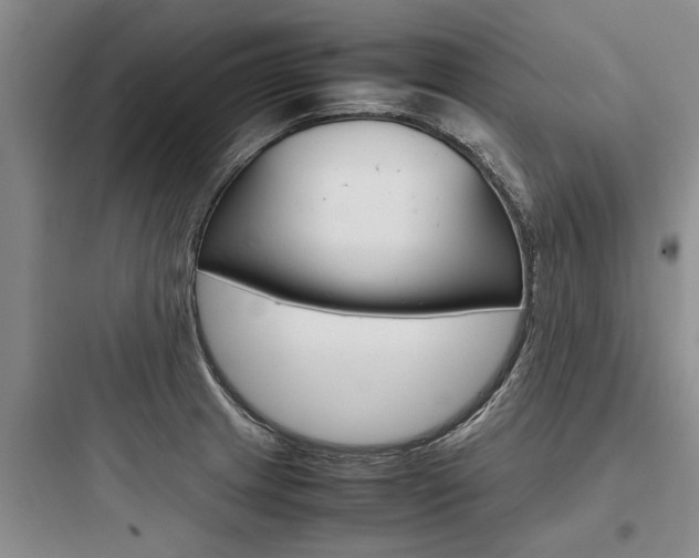 X0000097961233200803241034